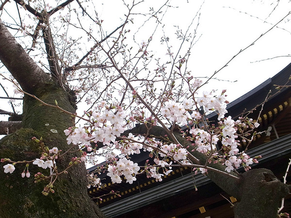 R0014135.jpg